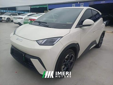 2025 BYD Seagull Glory Edition 305km Freedom Version