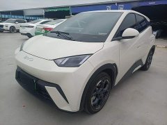 BYD Seagull 2024 Glory Edition 305km Freedom Version - ფოტო 2