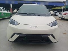 BYD Seagull 2024 Glory Edition 305km Freedom Version - ფოტო 3
