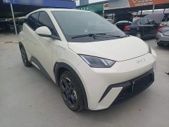 BYD Seagull 2024 Glory Edition 305km Freedom Version - ფოტო 4