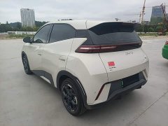 BYD Seagull 2024 Glory Edition 305km Freedom Version - ფოტო 5