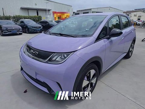 2024 BYD Dolphin 2023 420km Freedom Edition - ავტომობილი ჩინეთიდან