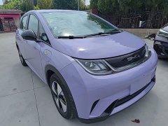 BYD Dolphin 2023 420km Freedom Edition - ფოტო 4