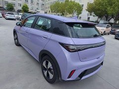 BYD Dolphin 2023 420km Freedom Edition - ფოტო 5
