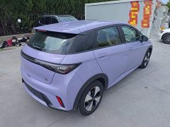 BYD Dolphin 2023 420km Freedom Edition - ფოტო 7