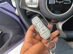 BYD Dolphin 2023 420km Freedom Edition - ფოტო 9