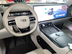 Geely Galaxy M9 230km Two-Wheel Drive Explorer Edition - ფოტო 10