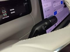 Geely Galaxy M9 230km Two-Wheel Drive Explorer Edition - ფოტო 14