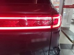 Geely Galaxy M9 230km Two-Wheel Drive Explorer Edition - ფოტო 8