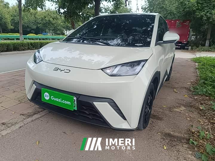 BYD Seagull Glory Edition 305km Vitality Version - ავტომობილი ჩინეთიდან