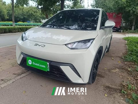2024 BYD Seagull Glory Edition 305km Vitality Version - ავტომობილი ჩინეთიდან