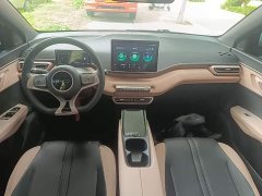 BYD Seagull Glory Edition 305km Vitality Version - ფოტო 10