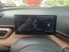 BYD Seagull Glory Edition 305km Vitality Version - ფოტო 12