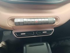 BYD Seagull Glory Edition 305km Vitality Version - ფოტო 14