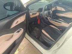 BYD Seagull Glory Edition 305km Vitality Version - ფოტო 16