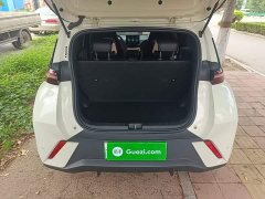 BYD Seagull Glory Edition 305km Vitality Version - ფოტო 19
