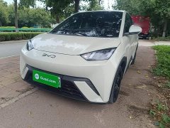 BYD Seagull Glory Edition 305km Vitality Version - ფოტო 2