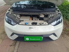 BYD Seagull Glory Edition 305km Vitality Version - ფოტო 20