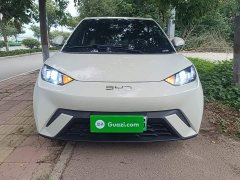 BYD Seagull Glory Edition 305km Vitality Version - ფოტო 3