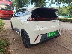 BYD Seagull Glory Edition 305km Vitality Version - ფოტო 5
