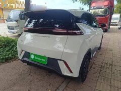 BYD Seagull Glory Edition 305km Vitality Version - ფოტო 7