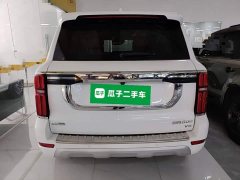 Tank 500 3.0T Business Edition Landscape Trim 5-Seater - ფოტო 6