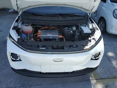 Geely Geometry E Firefly 2024 401km Fluorescent - ფოტო 20