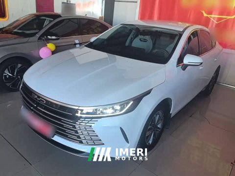 2024 BYD Destroyer 05 Glory Edition DM-i 55KM Luxury - ავტომობილი ჩინეთიდან