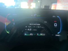BYD Destroyer 05 Glory Edition DM-i 55KM Luxury - ფოტო 12