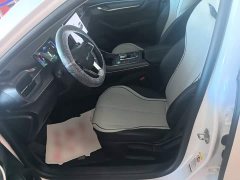 BYD Destroyer 05 Glory Edition DM-i 55KM Luxury - ფოტო 15