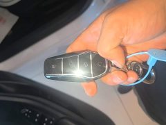 BYD Destroyer 05 Glory Edition DM-i 55KM Luxury - ფოტო 9