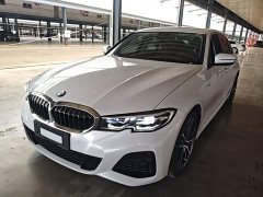BMW 3 Series Facelift 320Li M Sport Package - ფოტო 2