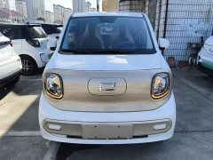 FAW Besturn Xiaoma 170km Vitality Edition - ფოტო 3