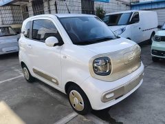 FAW Besturn Xiaoma 170km Vitality Edition - ფოტო 4