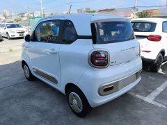 FAW Besturn Xiaoma 170km Vitality Edition - ფოტო 5