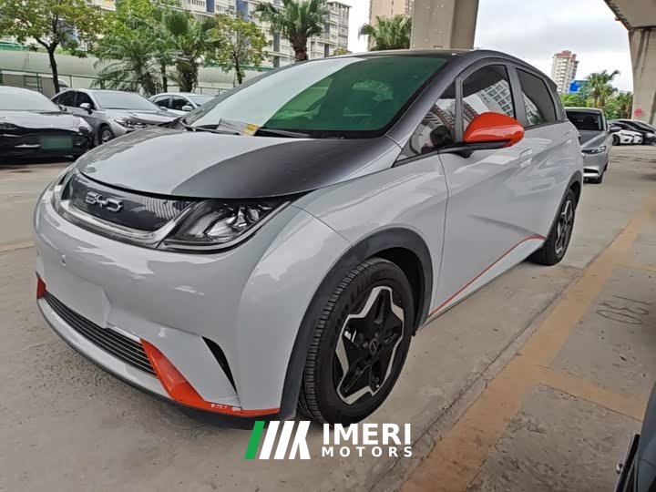 BYD Dolphin 405km Fashion Edition - ავტომობილი ჩინეთიდან
