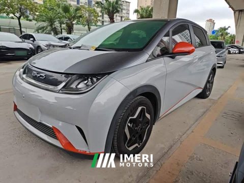 2022 BYD Dolphin 405km Fashion Edition - ავტომობილი ჩინეთიდან