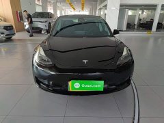 Tesla Model 3 Standard Range RWD Upgrade - ფოტო 3