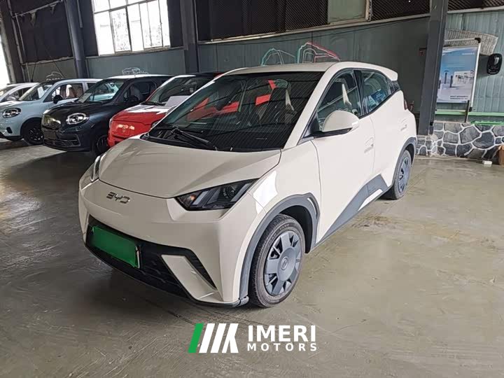 BYD Seagull Glory Edition 305km Vitality Version - ავტომობილი ჩინეთიდან