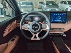 BYD Seagull Glory Edition 305km Vitality Version - ფოტო 11