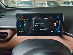 BYD Seagull Glory Edition 305km Vitality Version - ფოტო 12