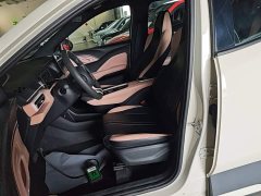 BYD Seagull Glory Edition 305km Vitality Version - ფოტო 15