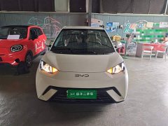 BYD Seagull Glory Edition 305km Vitality Version - ფოტო 3