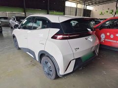 BYD Seagull Glory Edition 305km Vitality Version - ფოტო 5