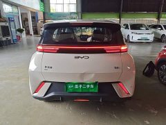 BYD Seagull Glory Edition 305km Vitality Version - ფოტო 6