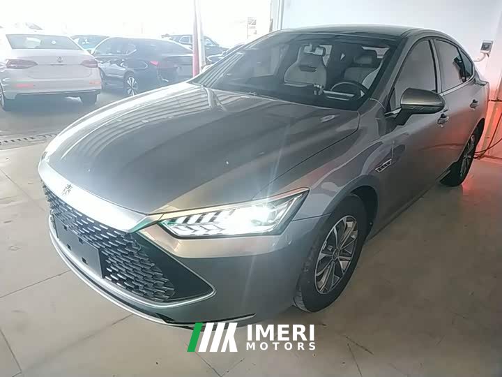 BYD Qin PLUS Champion Edition DM-i 55KM Leading