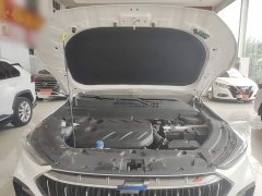 Changan Oushang X5 2021 Facelift 1.5T DCT Luxury - ფოტო 20
