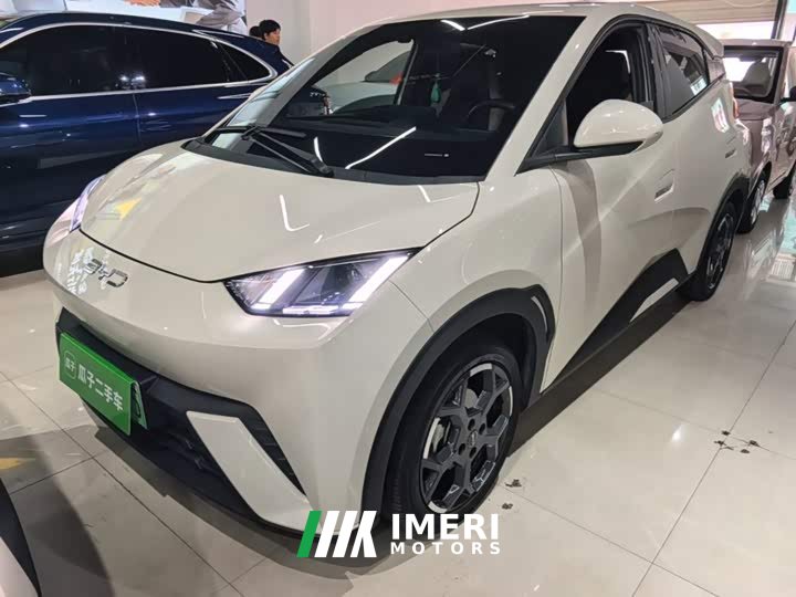 BYD Seagull 305km Freedom Edition