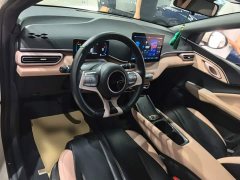 BYD Seagull 305km Freedom Edition - ფოტო 10