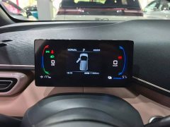 BYD Seagull 305km Freedom Edition - ფოტო 12